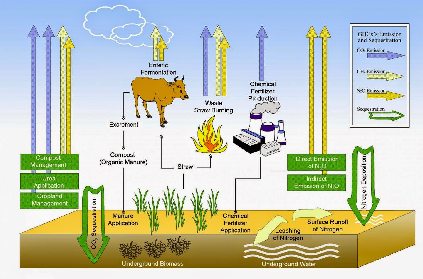 Turns Out, Organic Farming Can Save the World from Global Warming, Climate Change