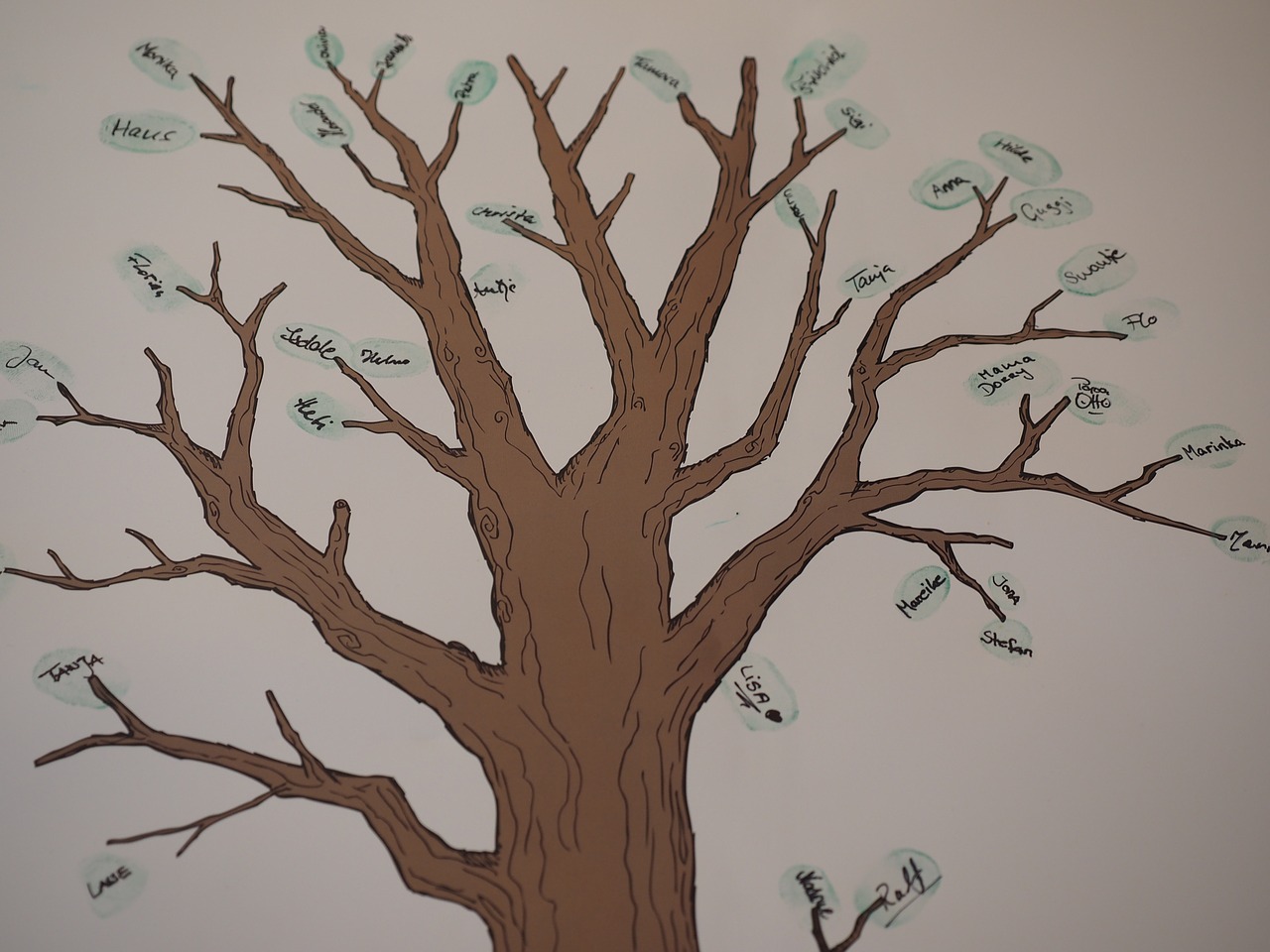 Knowing Your Ancestry Can Help You Make Smarter Choices About Your Health
