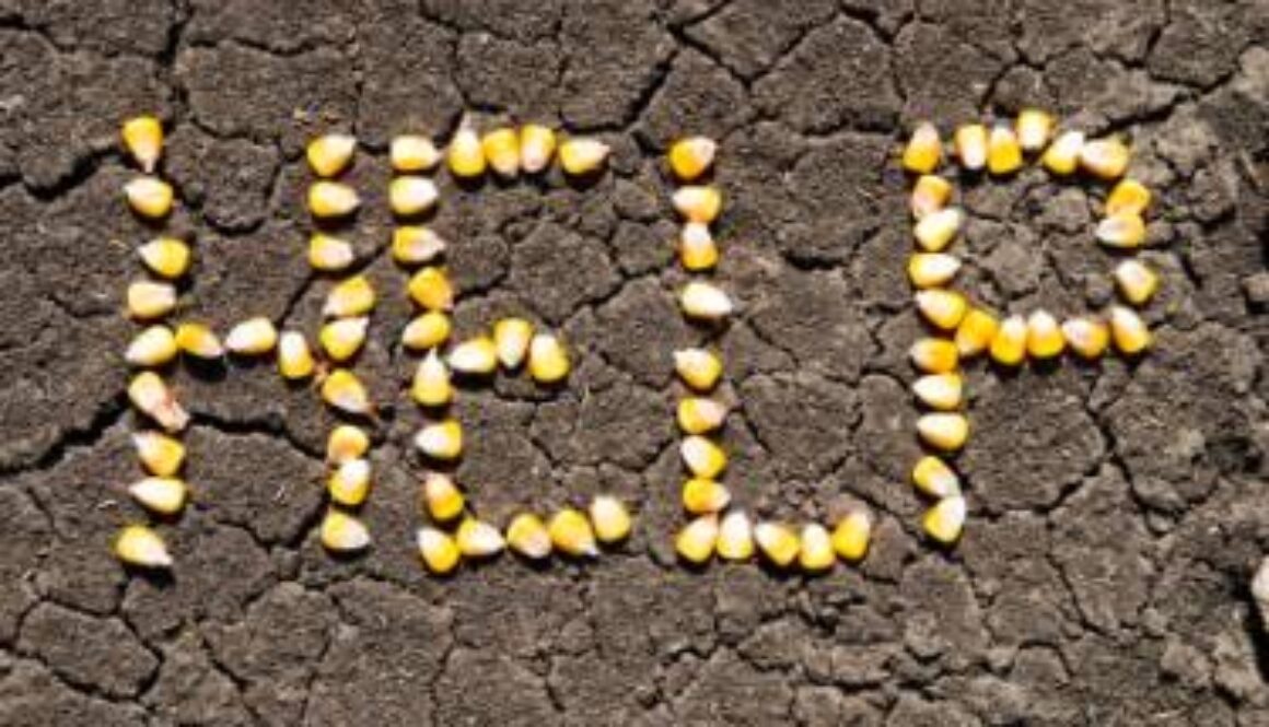 149833-375x249-HelpFoodShortage