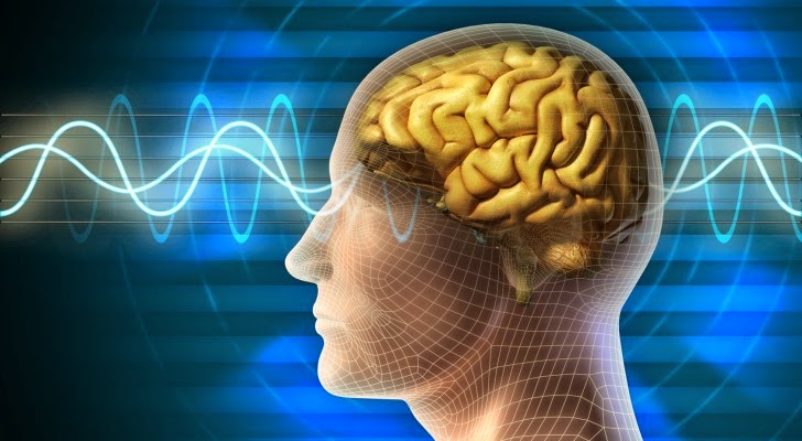 Brain_waves-728x400 Brain_waves-728x400