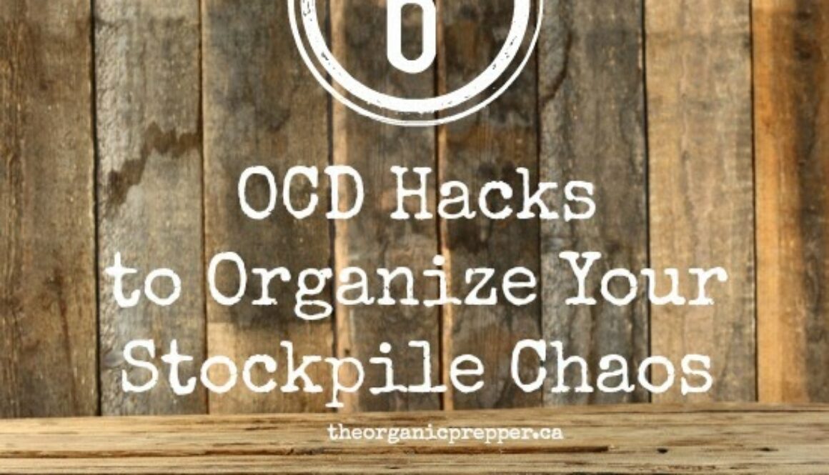 6-OCD-Hacks-to-Organize-Your-Stockpile-Chaos