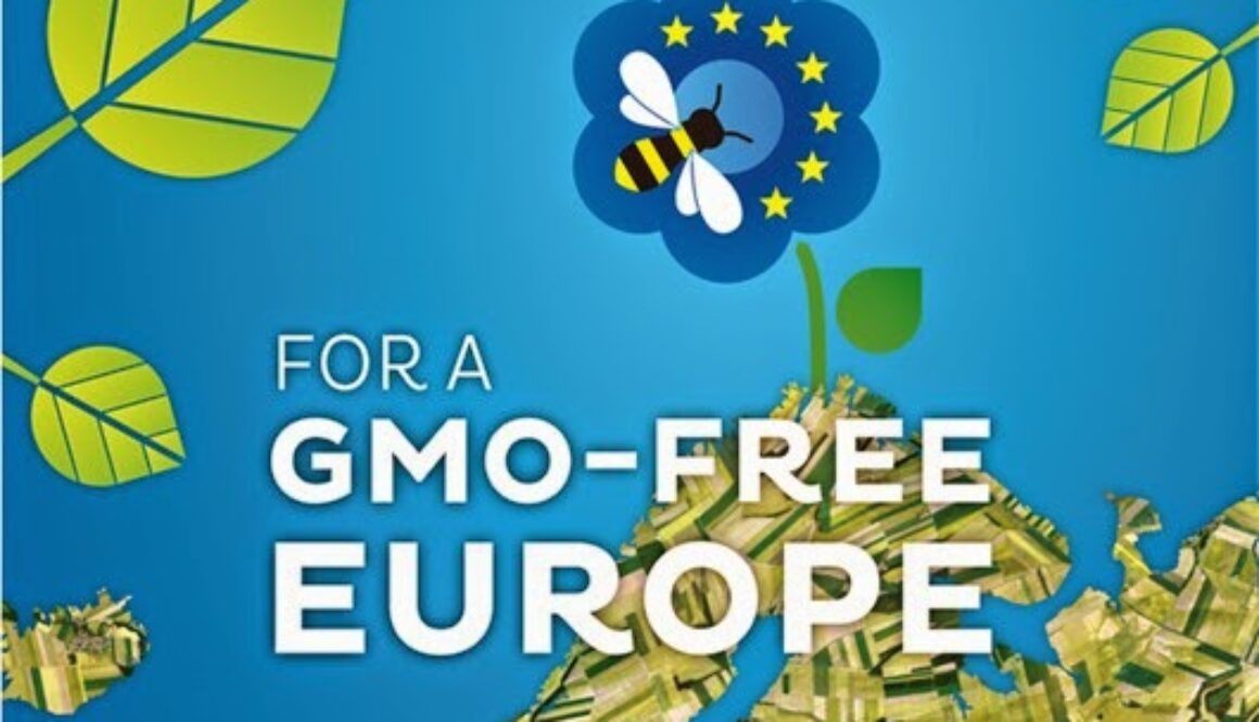 GMO-free-Europe-530x363