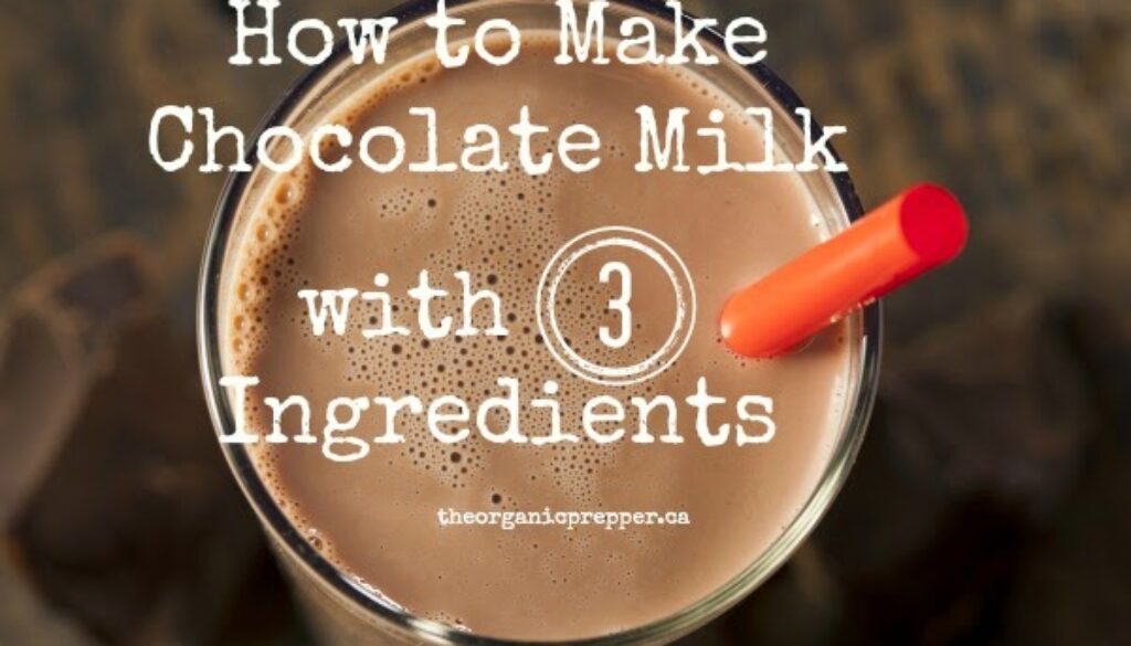 How-to-make-chocolate-milk-with-3-ingredients