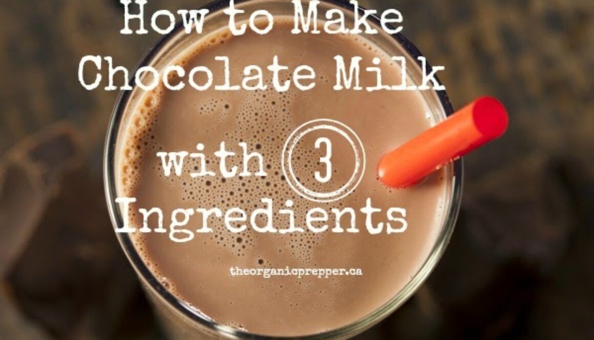 How-to-make-chocolate-milk-with-3-ingredients