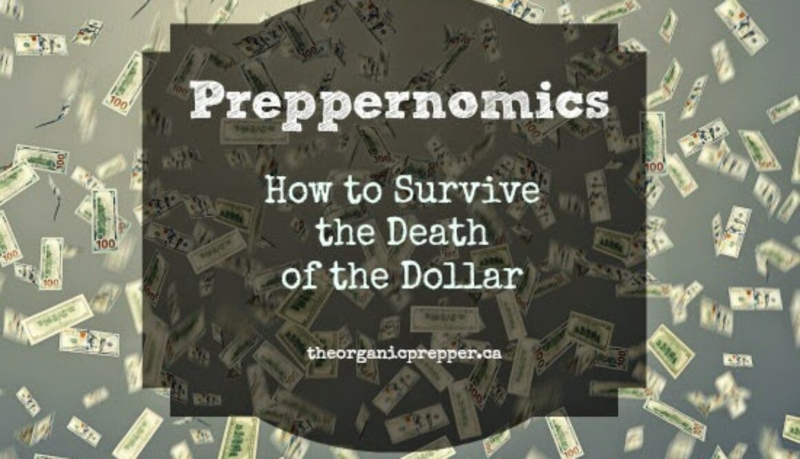 How-to-survive-the-death-of-the-dollar