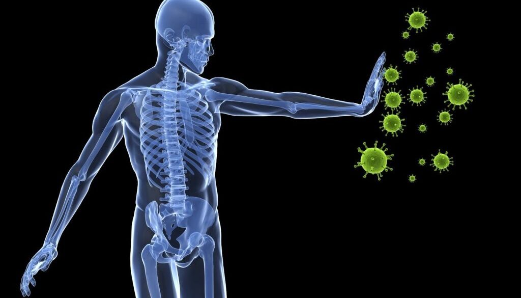 Immune-System