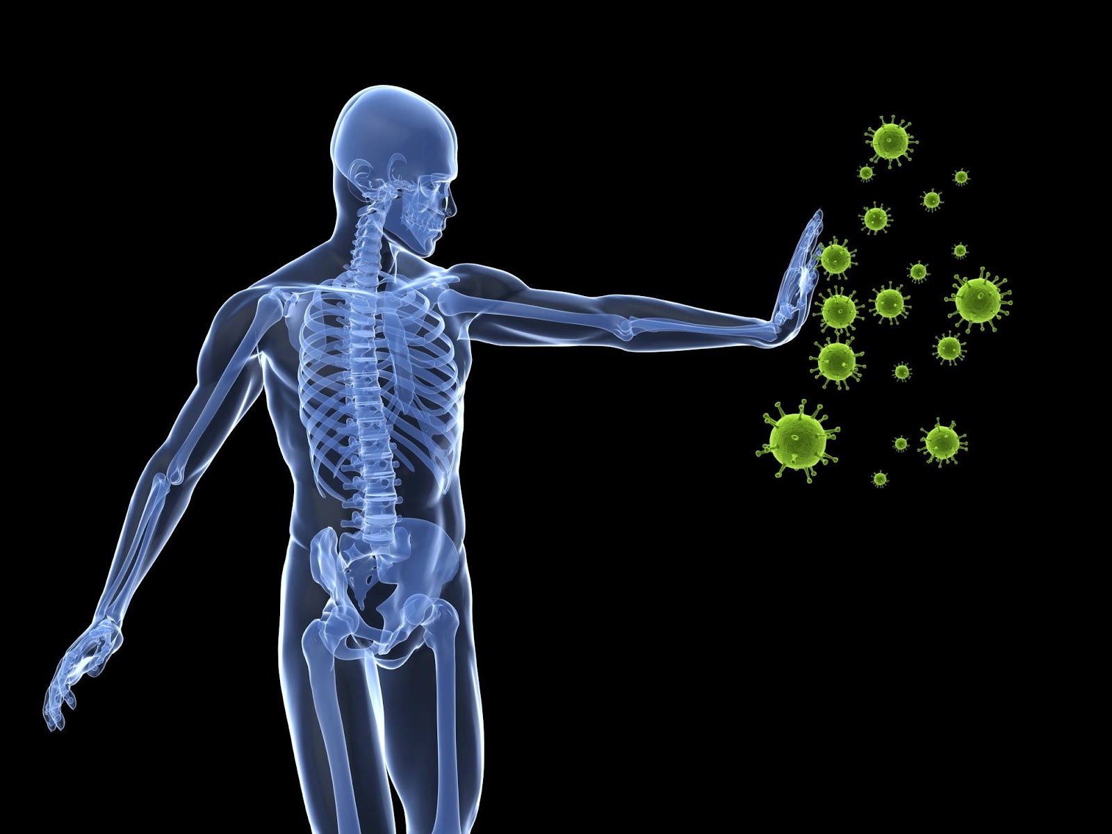 Immune-System Immune-System