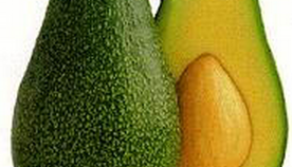 avocado