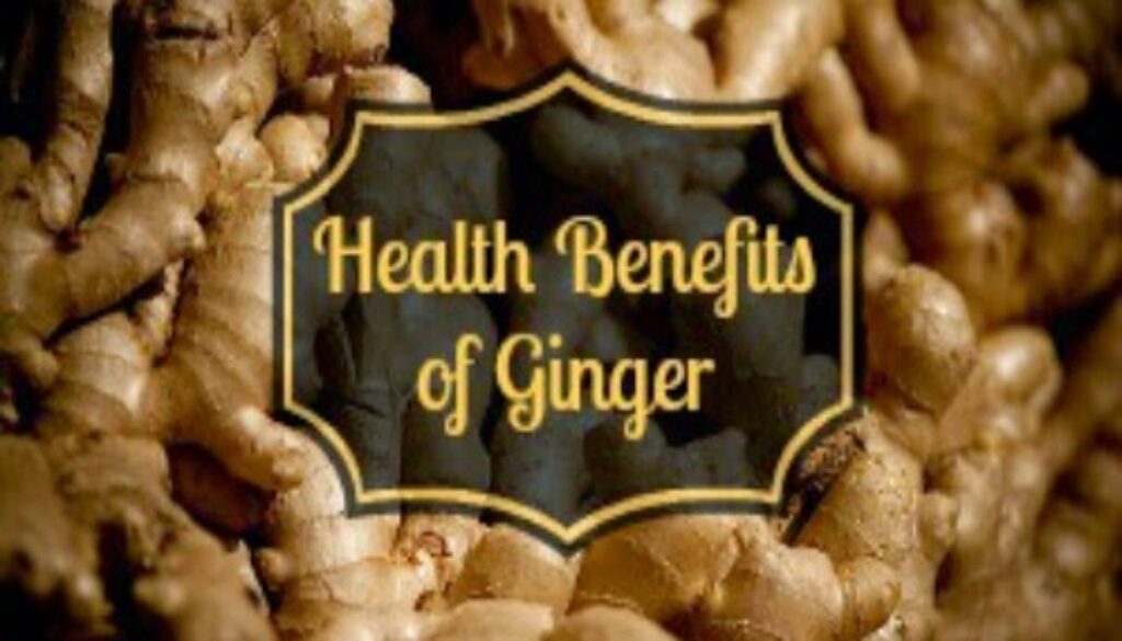 ginger