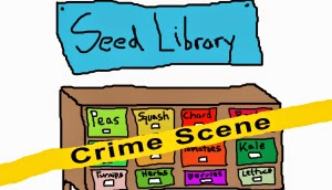 seed-library-copy