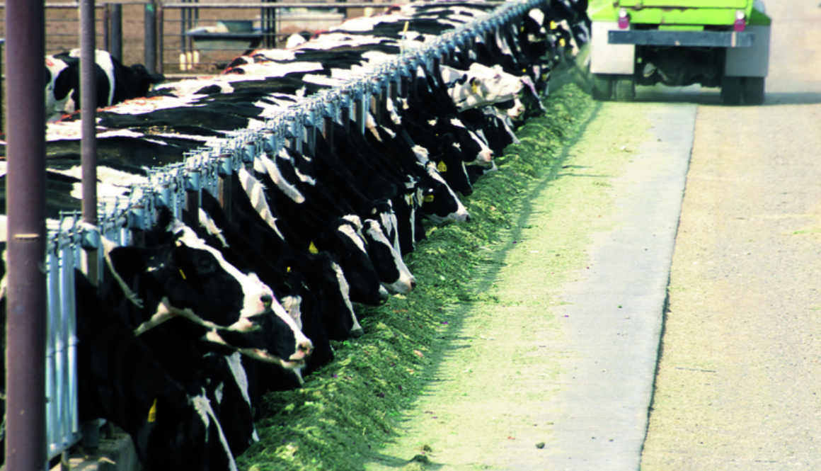 factory-farm
