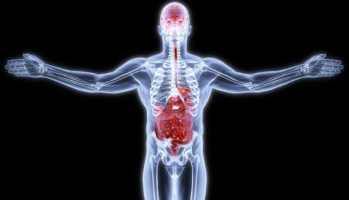 Gut-and-Brain