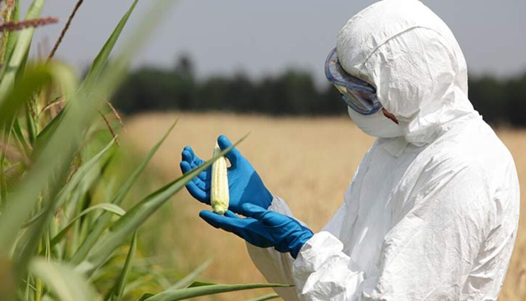 GMO-Scientist-Blows-the-Whistle-on-Monsanto.jpg
