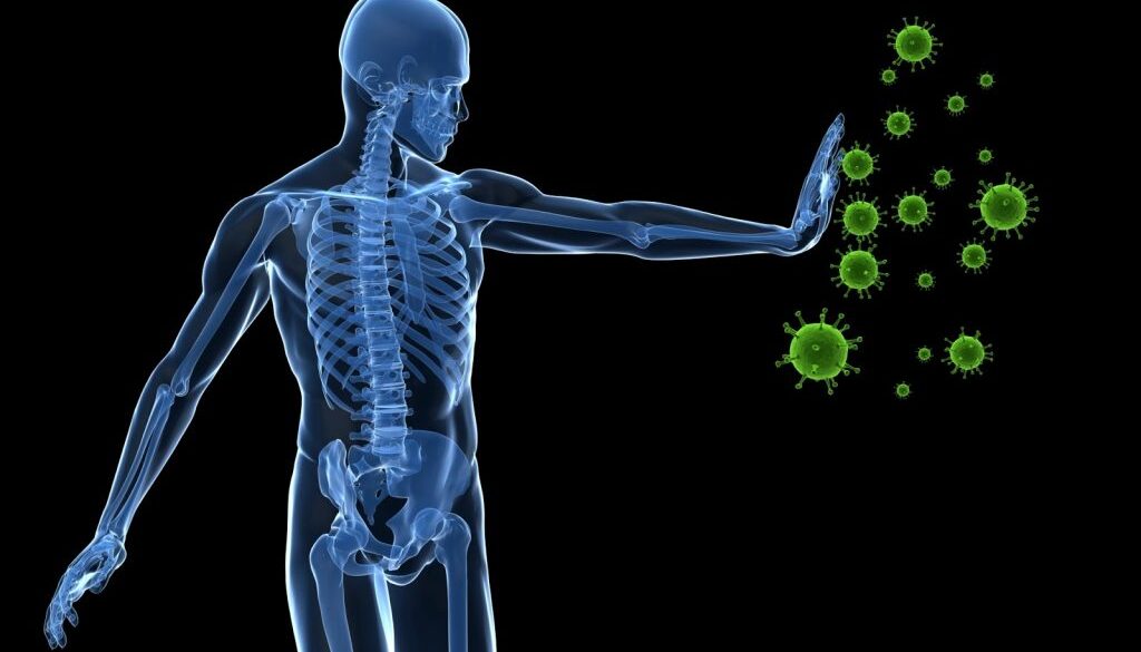 Immune-System.jpg