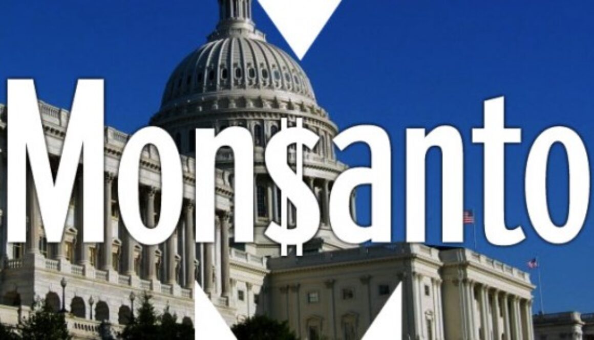 monsantomoney-630x315