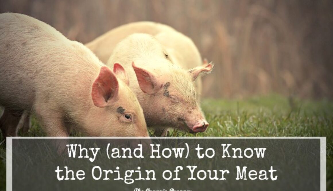 Why-and-How-to-Know-the-Origin-of-Your-Meat