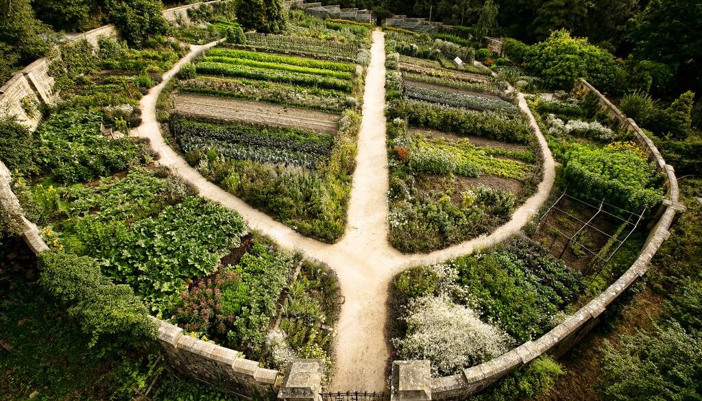 permaculture1