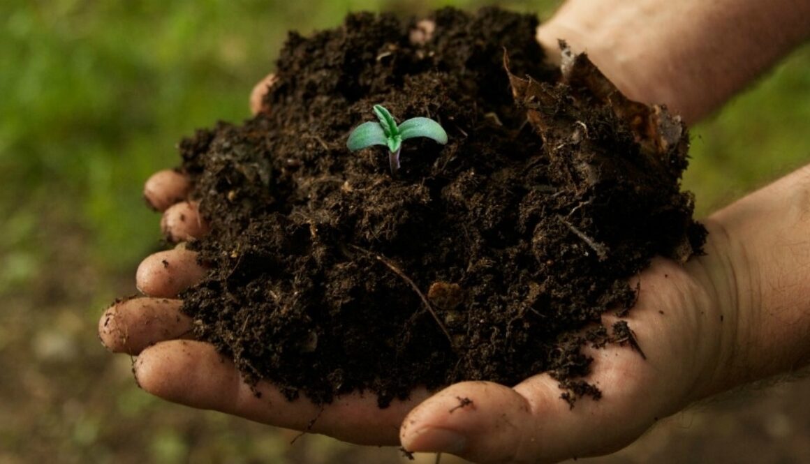 soil_solution