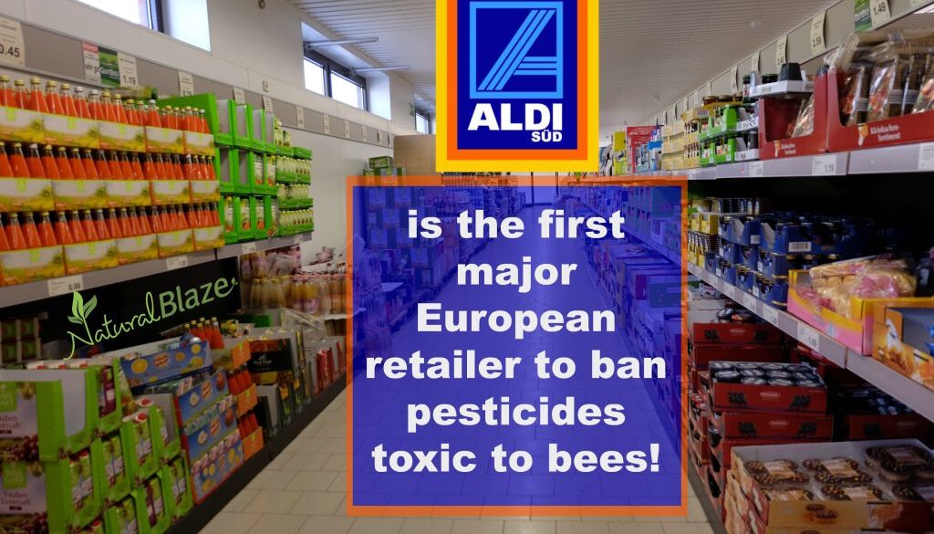15-05-26-Aldi-Nord-Innenansicht-RalfR-DSCF5923