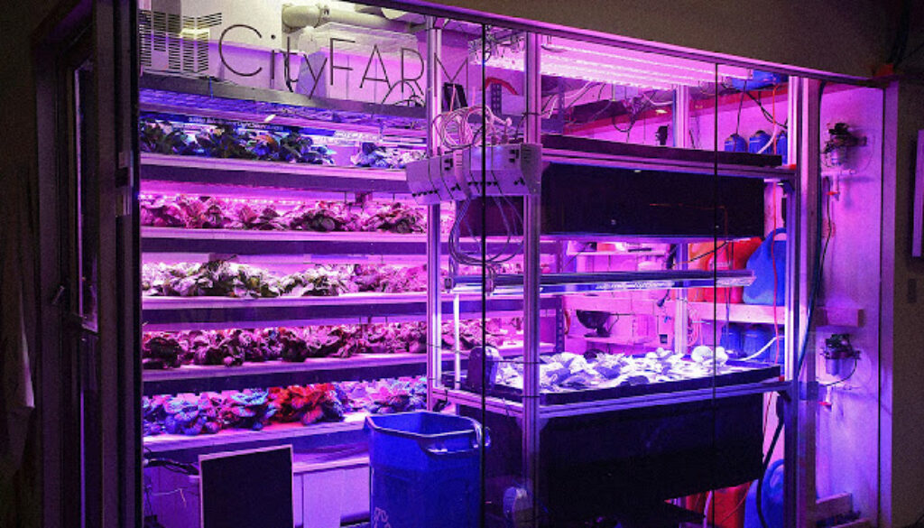 3032504-poster-p-1-at-mit-a-farm-grows-that-is-built-for-a-city