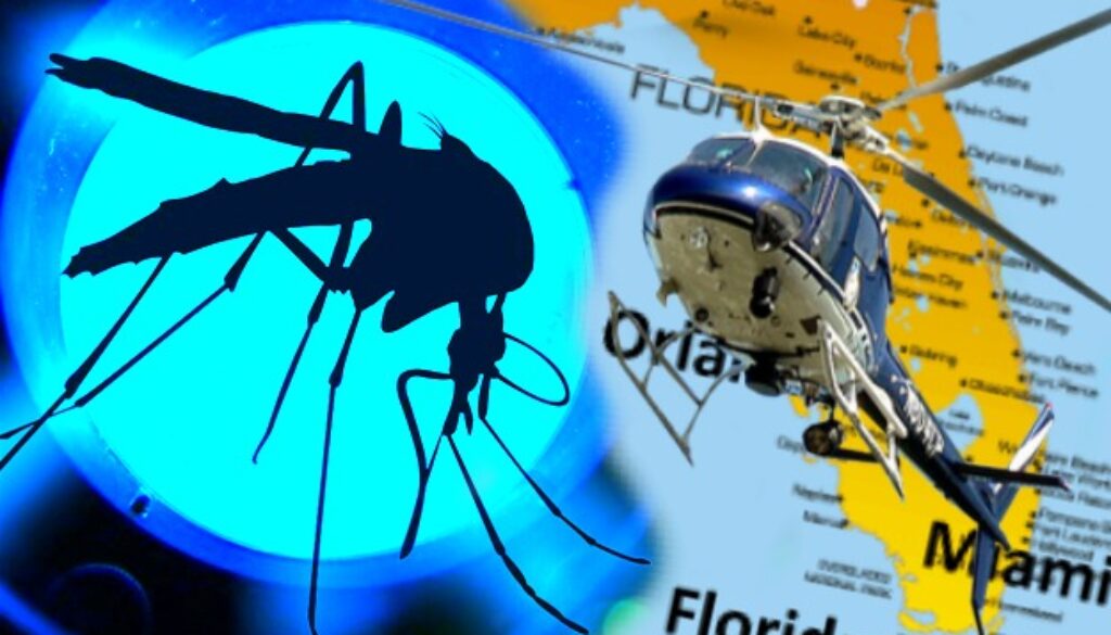 GM mosquito release