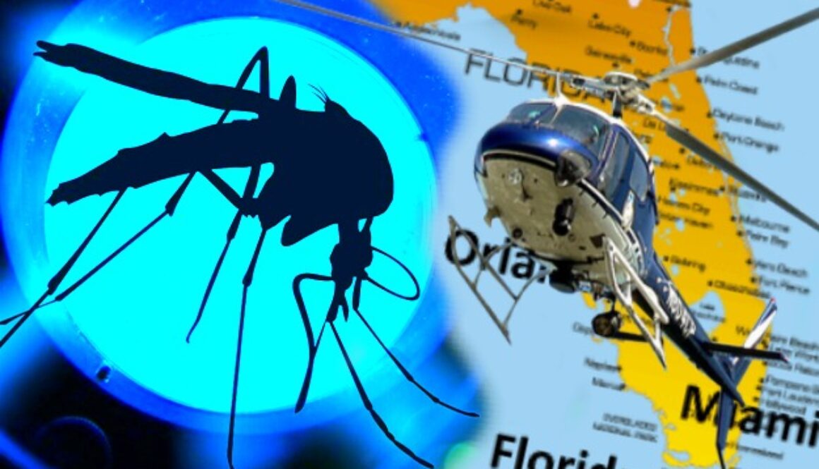 GM mosquito release