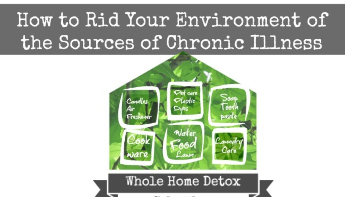 How-to-Rid-Your-Environment-of-the-Sources-of-Chronic-Illness