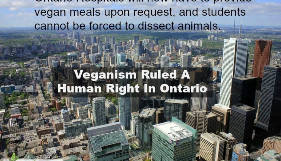 Ontario1