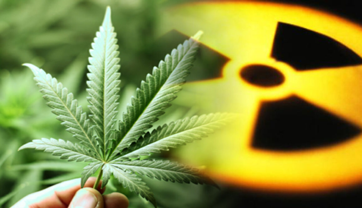 cannabisradiation