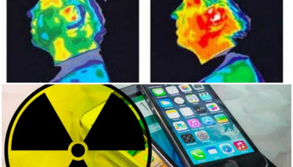 cell phone radiation