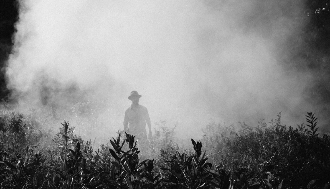 fog-918976_960_720