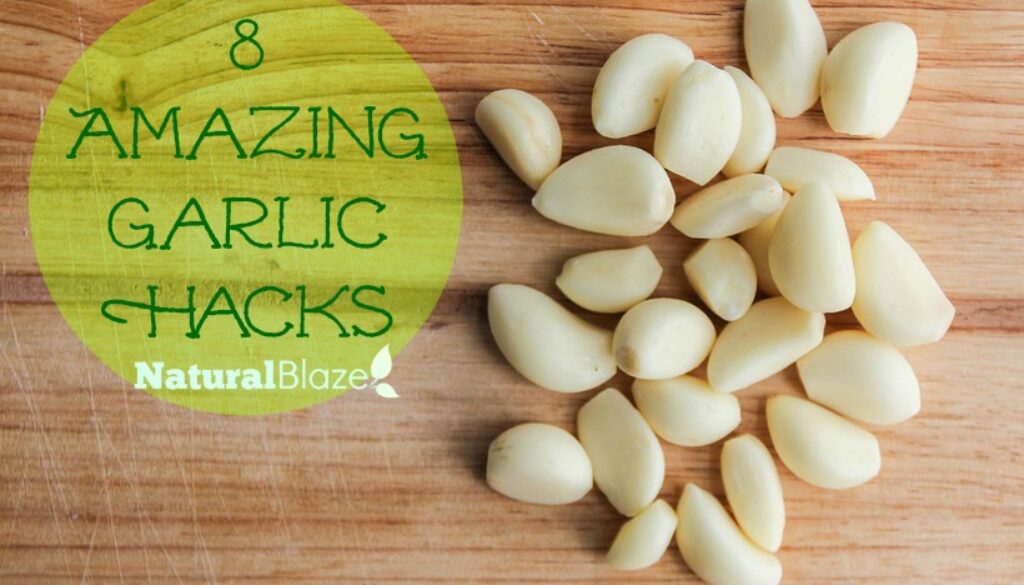 garlic-1039563_960_720