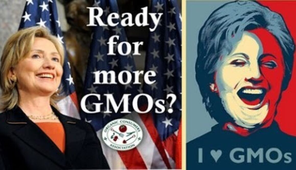 hillary-clinton-GMO-monsanto-480x264