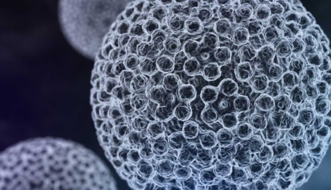 hpv-virus-web-702x336