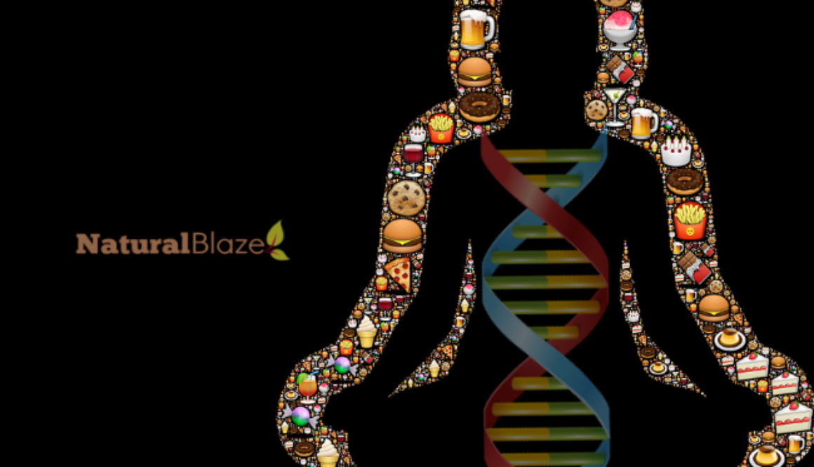 junk food dna