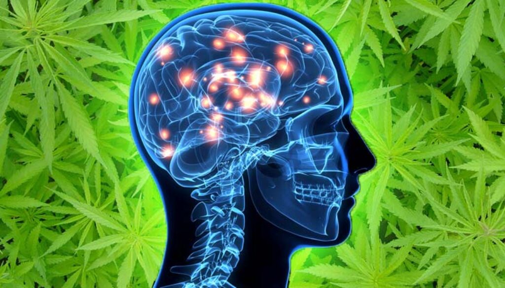 marijuana-alzheimer-treatment