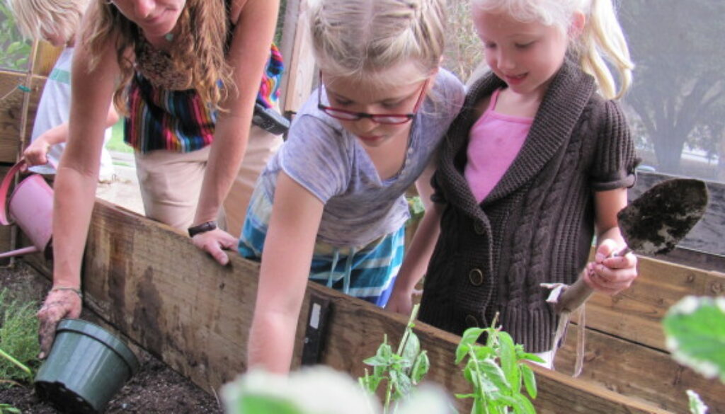 o-MUSE-SCHOOL-GARDEN-570