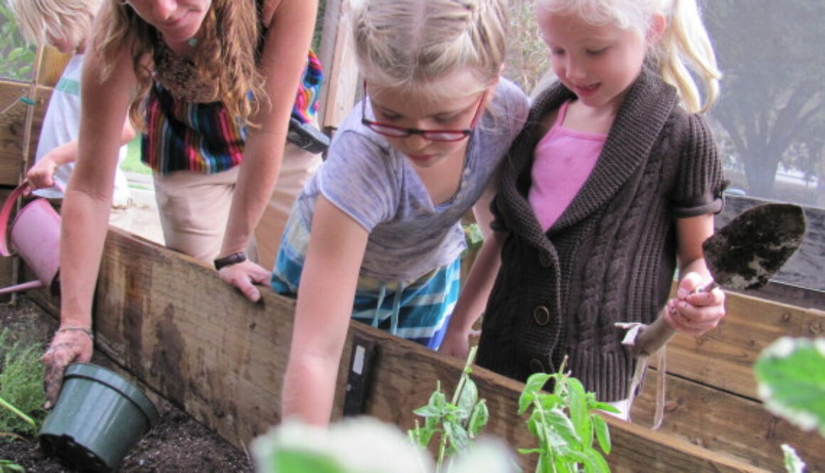 o-MUSE-SCHOOL-GARDEN-570