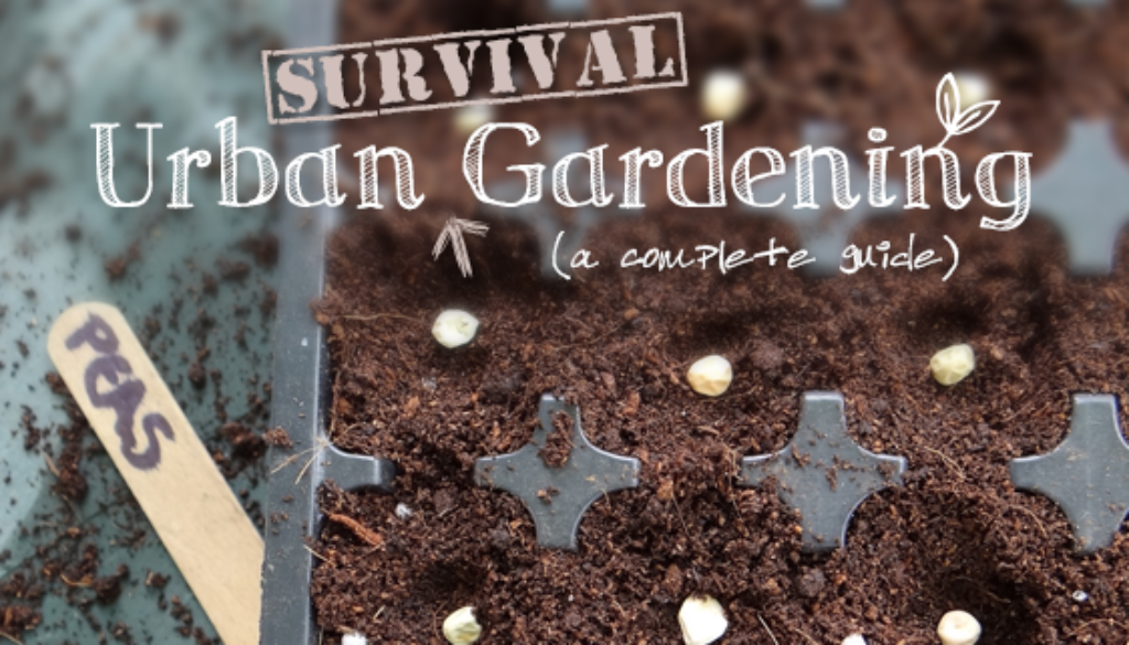 urbansurvivalgardening