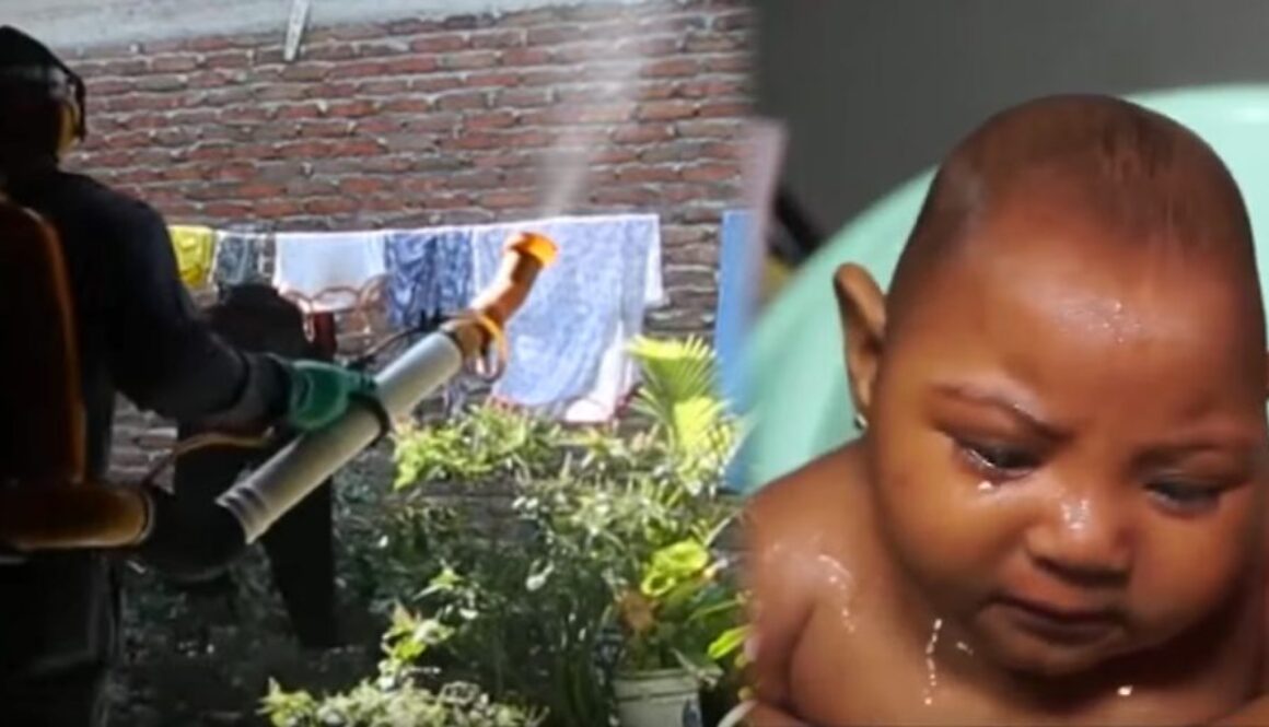 Zika_Virus_Outbreak_in_Brazil_1200x600