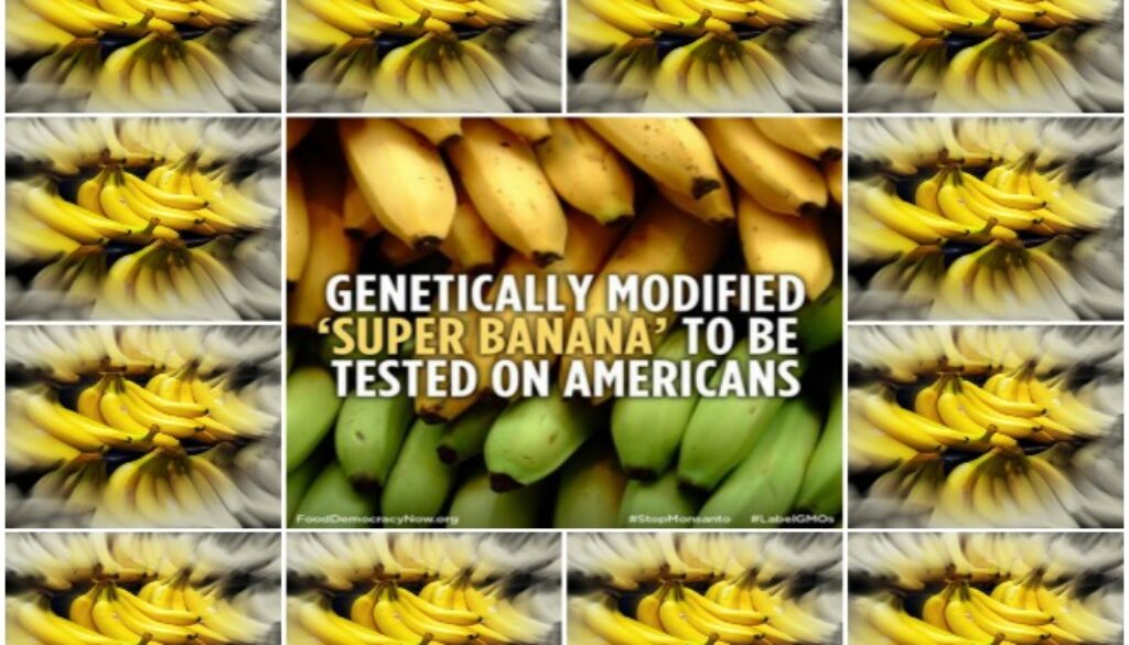 banana