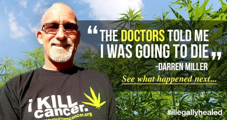 cannabis1-768x407