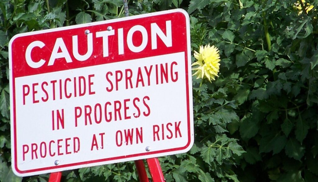 glyphosate