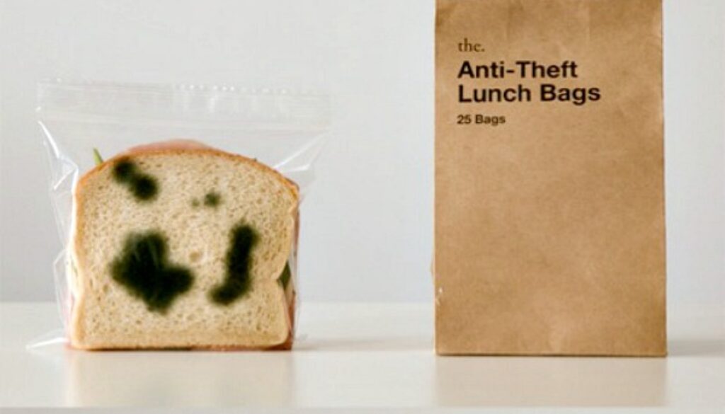moldy lunch bags