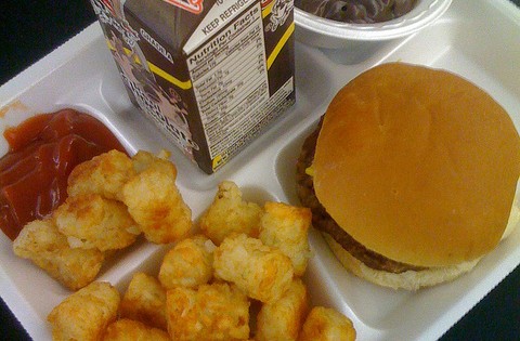 school-lunch-480x315 school-lunch-480x315