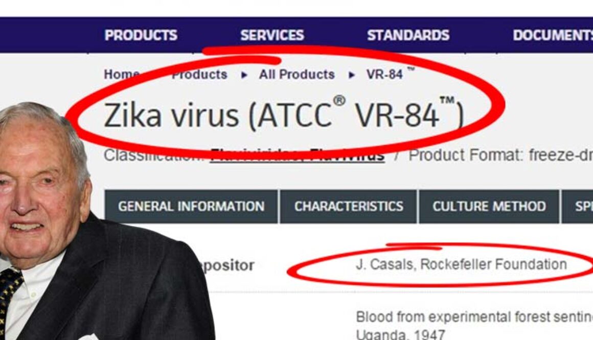 zika-virus-rockerfeller