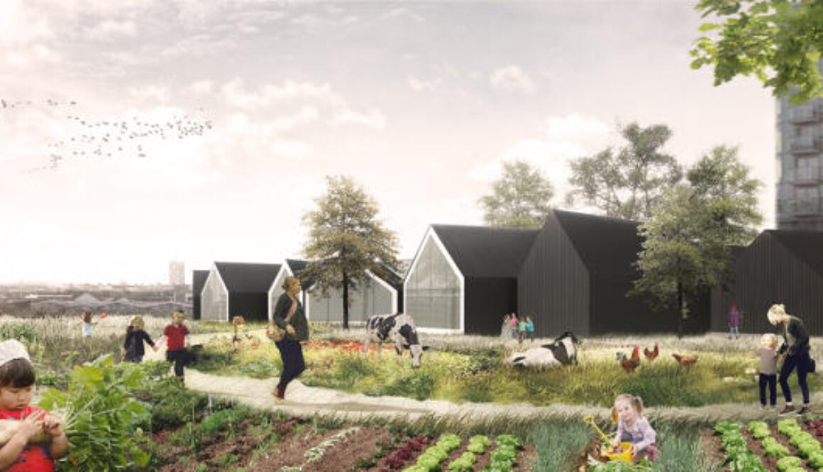 3057083-slide-s-1-this-preschool-doubles-as-an-urban-farm