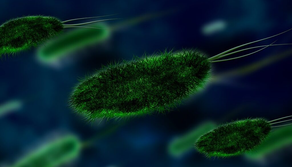 bacteria-106583_960_720