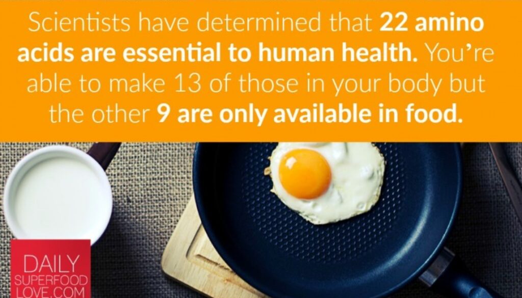 benefits-of-a-high-protein-diet-IG-768x512