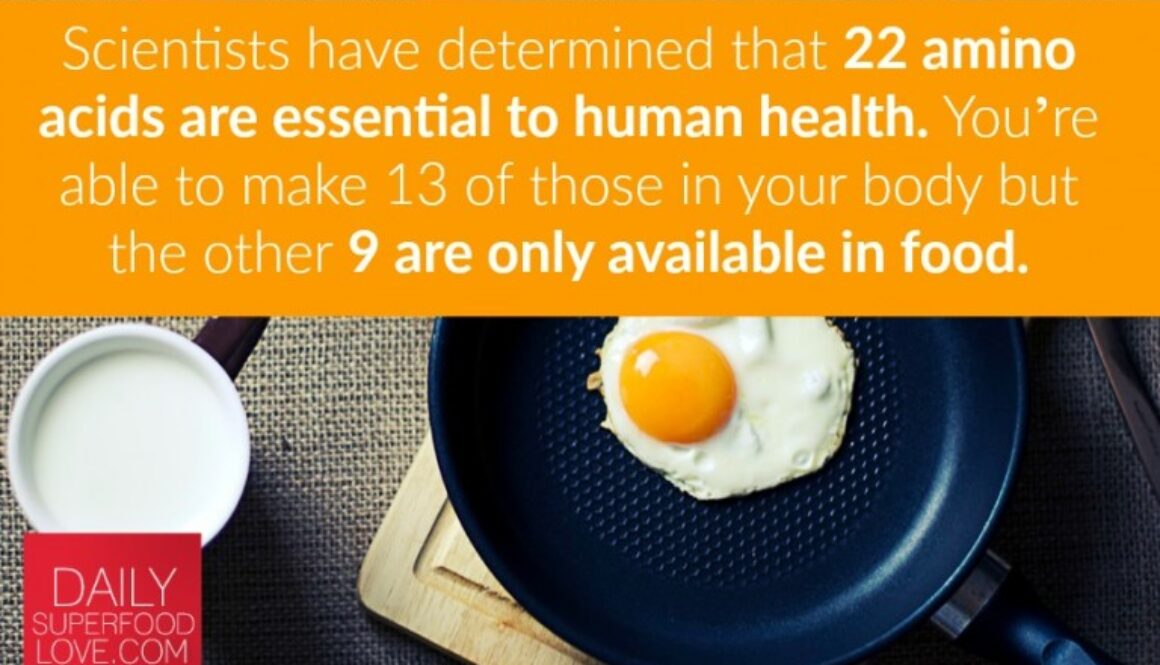 benefits-of-a-high-protein-diet-IG-768x512